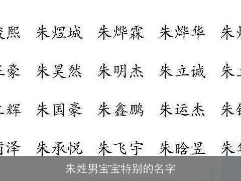 朱姓男宝宝特别的名字