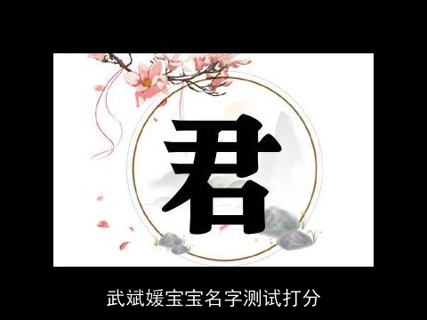 武斌媛宝宝名字测试打分