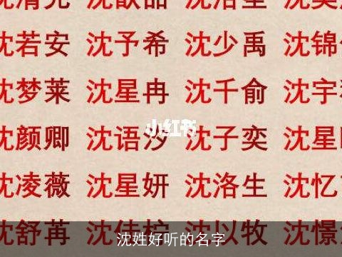 沈姓好听的名字