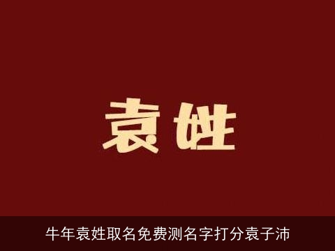 牛年袁姓取名免费测名字打分袁子沛