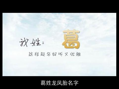 葛姓龙凤胎名字