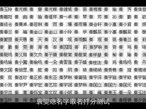 袁雯琼名字取名打分测试