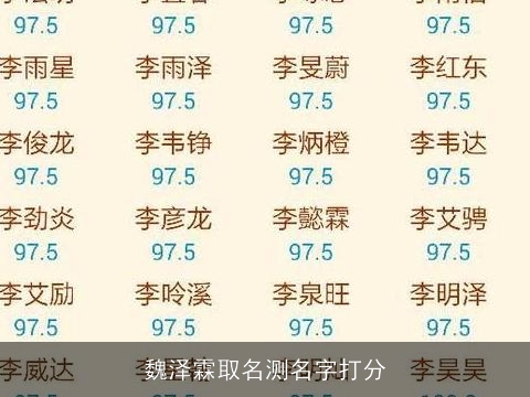 魏泽霖取名测名字打分