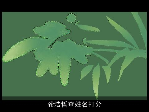 龚浩哲查姓名打分