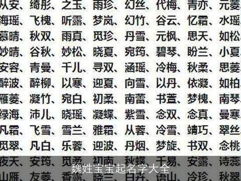 魏姓宝宝起名字大全